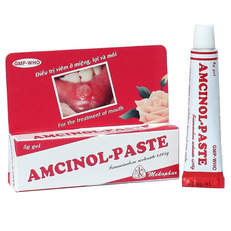 Amcinol paste Mekophar (Tuýp 5g)