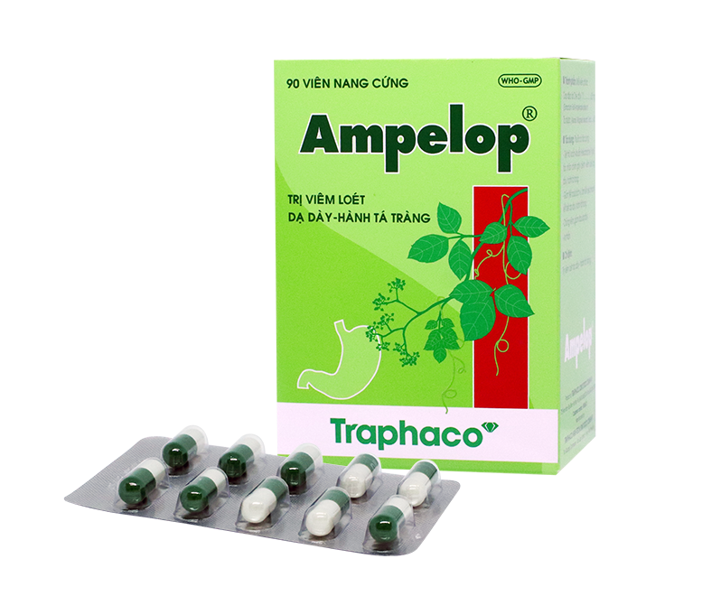 Ampelop trị viêm loét dạ dày Traphaco (H/90v)