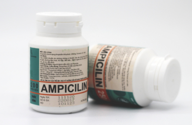 Ampicilin 250mg TW1 Pharbaco (Lọ/200v)