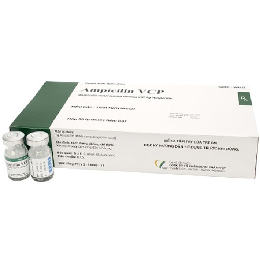 Ampicillin 1g tiêm VCP (H/50 lọ)
