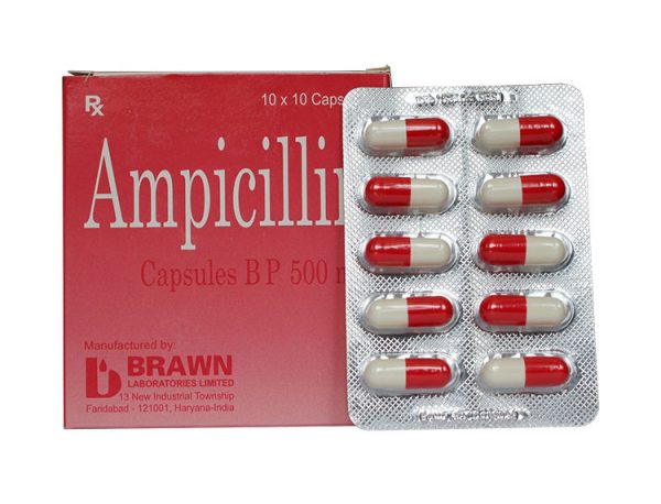 Ampicillin 500mg Brawn (Hộp 100 viên)
