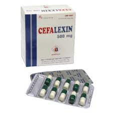 Cefalexin Cephalexin 500mg Domesco (Hộp 100 viên)