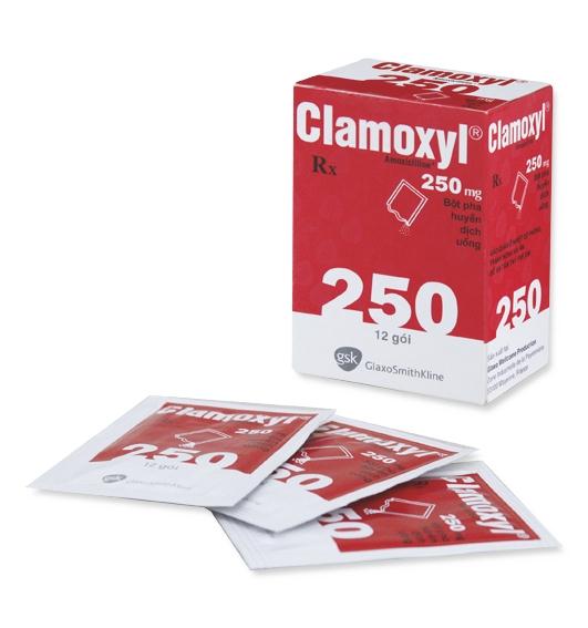 Clamoxyl Amoxicilin 250mg GSK (Hộp 12 gói)