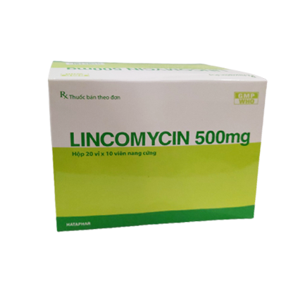 Lincomycin 500mg Vĩnh Phúc (H/100v)