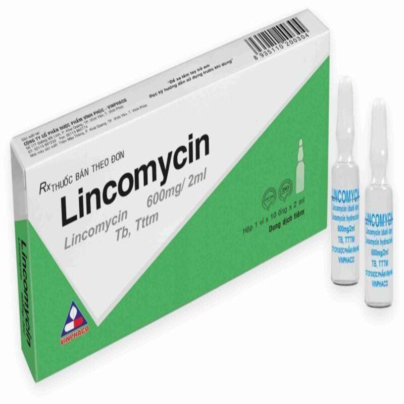 Tiêm Lincomycin 600mg/2ml Vĩnh Phúc (Hộp 10 ống x 2ml)