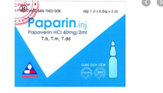 Paparin Papaverin 40mg tiêm Vĩnh Phúc (H/10o/2ml)