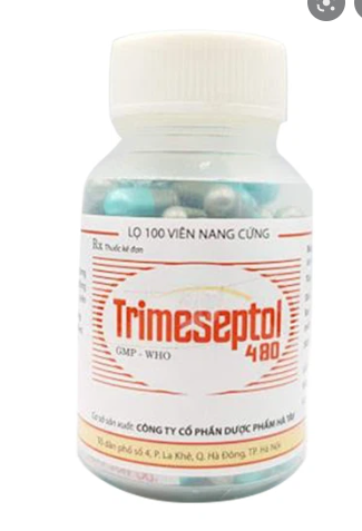 Trimeseptol 480 Hà Tây (Lọ 100 viên)